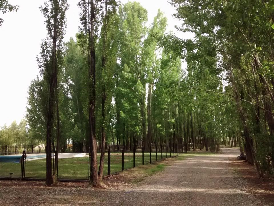 Terrazas En El Bosque Cabanas Malargüe Εξωτερικό φωτογραφία