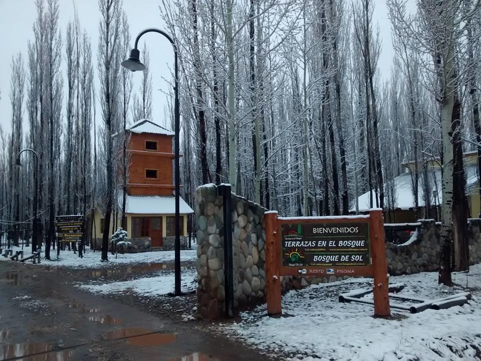 Terrazas En El Bosque Cabanas Malargüe Εξωτερικό φωτογραφία